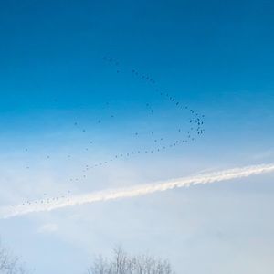 Meet your Posher, Sharita